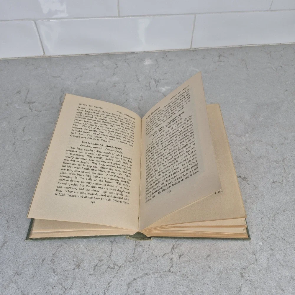 1909 BOOK WILD‎ FLOWERS EVERY CHILD SHOULD KNOW BY FREDERIC WILLIAM STACK